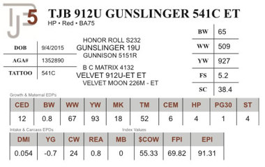 Lot 5 - TJB 912U GUNSLINGER 541C ET